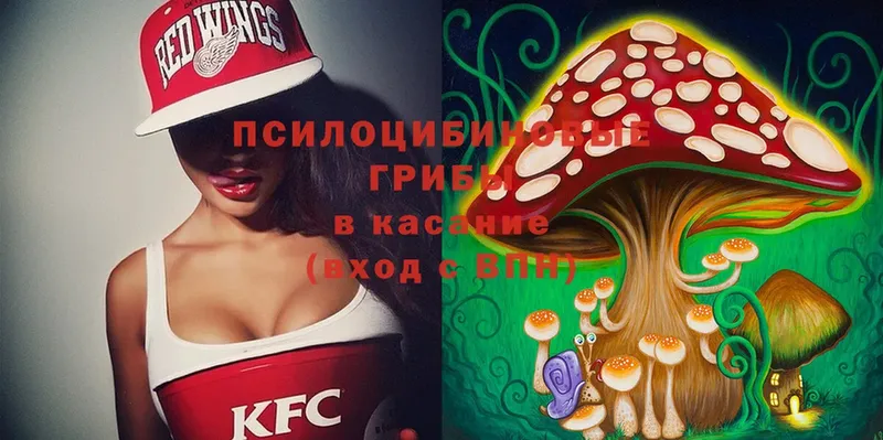 Галлюциногенные грибы Magic Shrooms  Фролово 